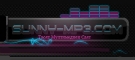 Sunny MP3
