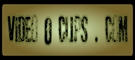 VideooClips.com